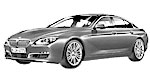 BMW F06 P300B Fault Code